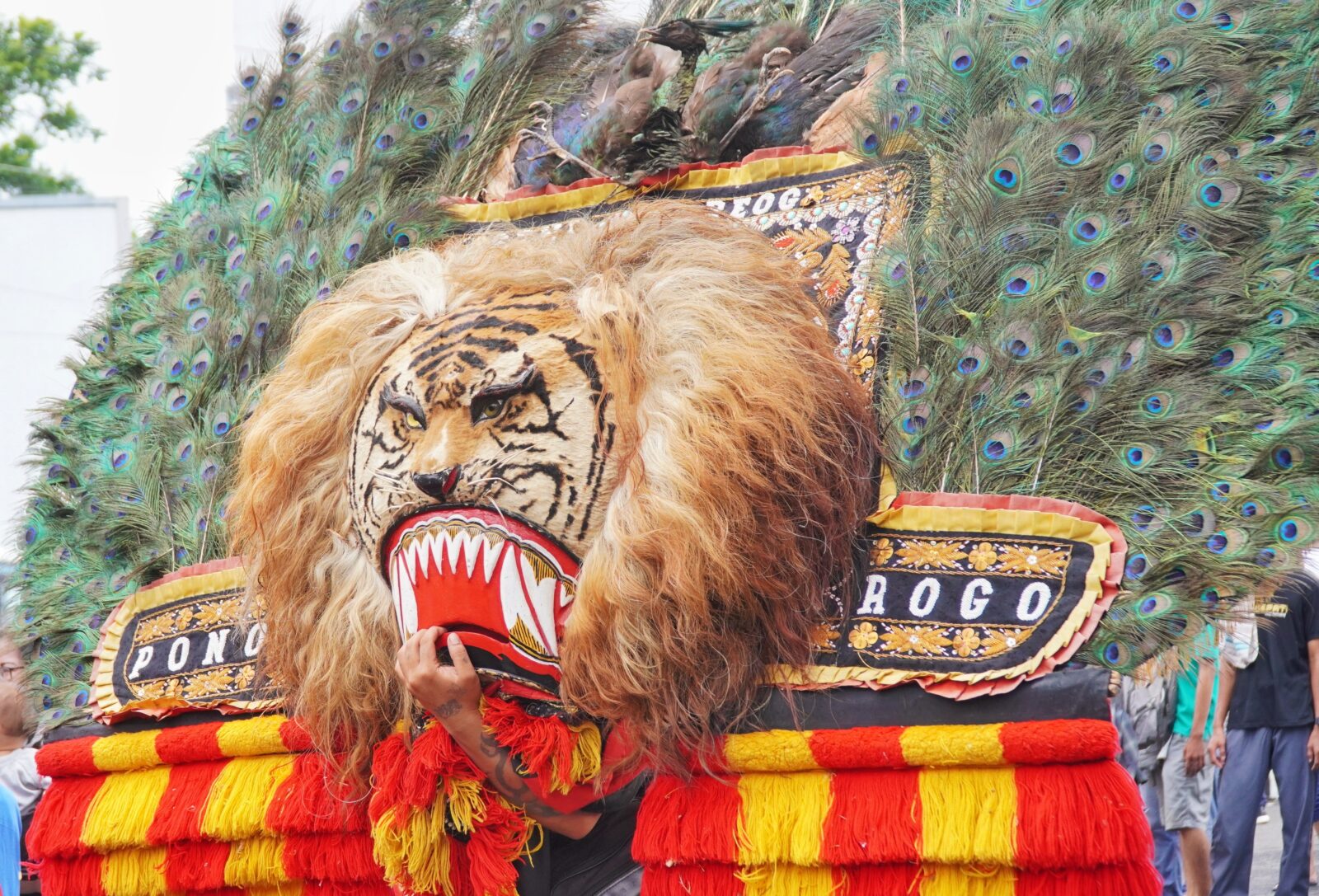 Reog Ponorogo: Kesenian Daerah Yang Menggabungkan Keberanian, Mistis, Dan Keindahan Tari